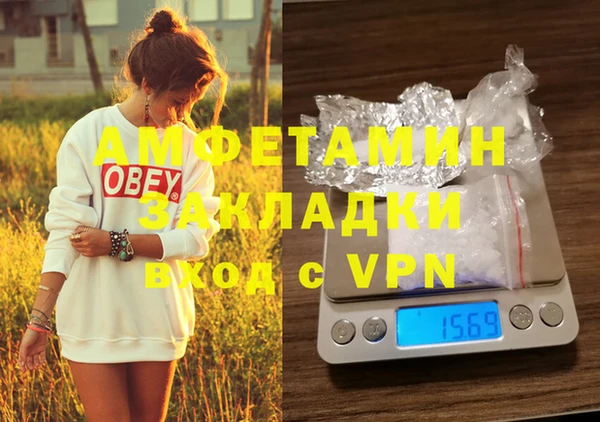 PSILOCYBIN Баксан