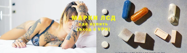 PSILOCYBIN Баксан
