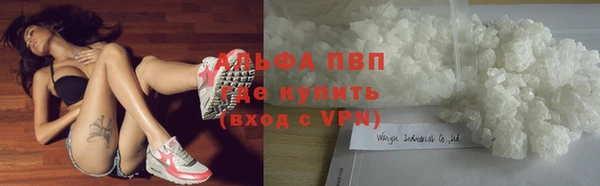 PSILOCYBIN Баксан