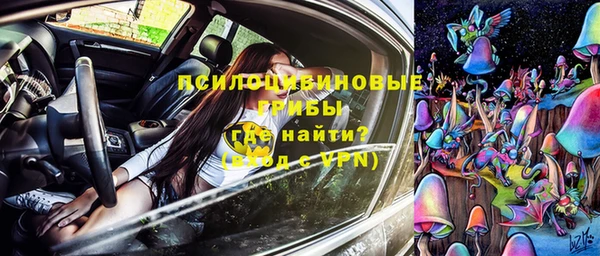 PSILOCYBIN Баксан